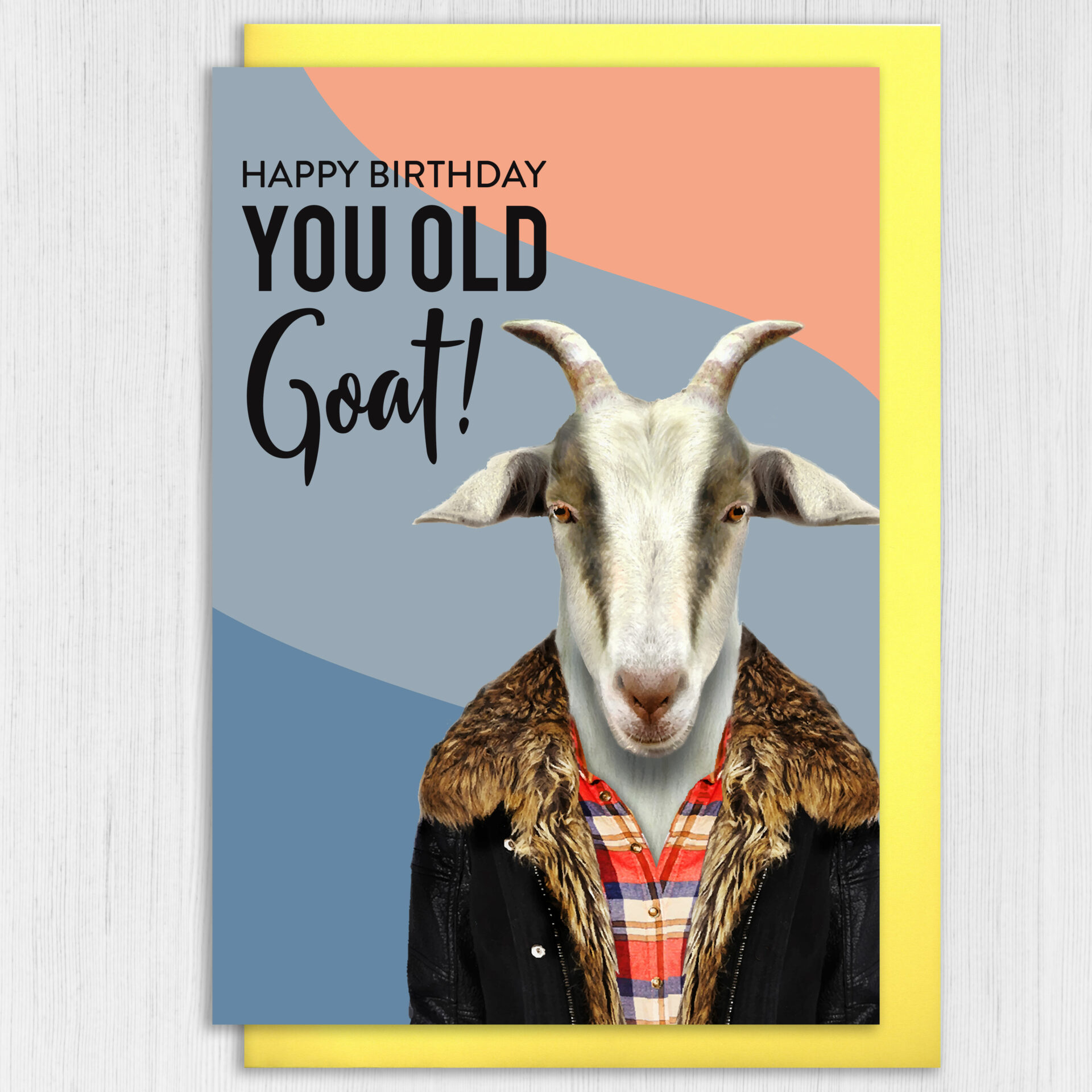 Funny old age goat birthday card: You old goat (Animalyser) – Prints With  Personality