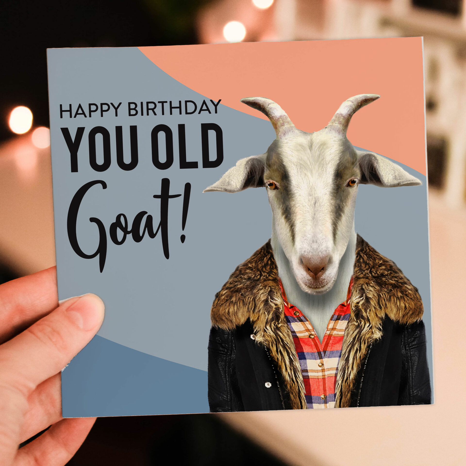 Funny old age goat birthday card: You old goat (Animalyser