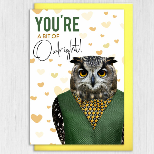 You're a bit of owlright owl in clothes anniversary, Valentine’s Day card for wife, husband, boyfriend, girlfriend (Animalyser) Size A6/A5/A4/Square 6x6"