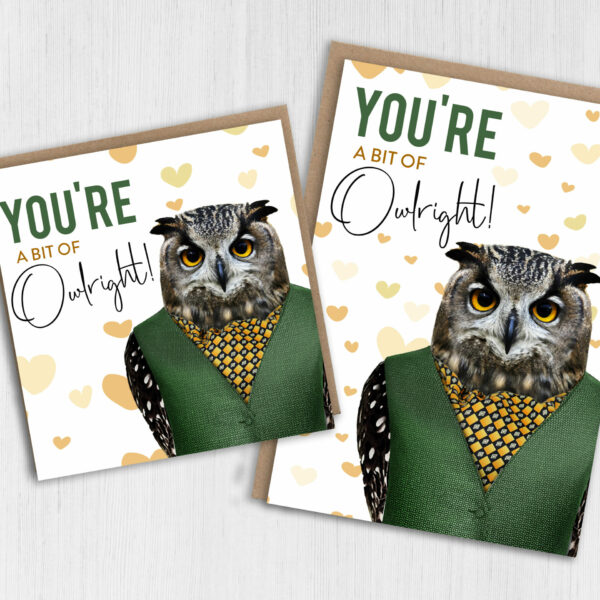 You're a bit of owlright owl in clothes anniversary, Valentine’s Day card for wife, husband, boyfriend, girlfriend (Animalyser) Size A6/A5/A4/Square 6x6"