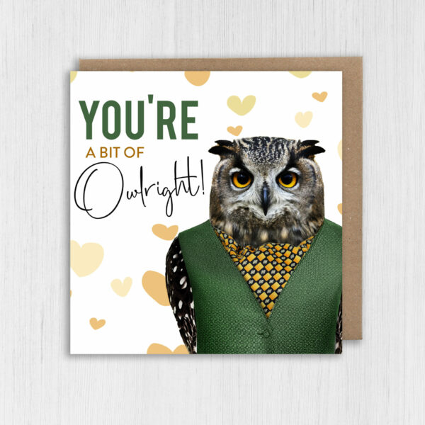 You're a bit of owlright owl in clothes anniversary, Valentine’s Day card for wife, husband, boyfriend, girlfriend (Animalyser) Size A6/A5/A4/Square 6x6"