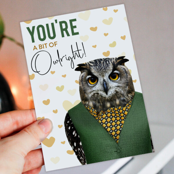 You're a bit of owlright owl in clothes anniversary, Valentine’s Day card for wife, husband, boyfriend, girlfriend (Animalyser) Size A6/A5/A4/Square 6x6"