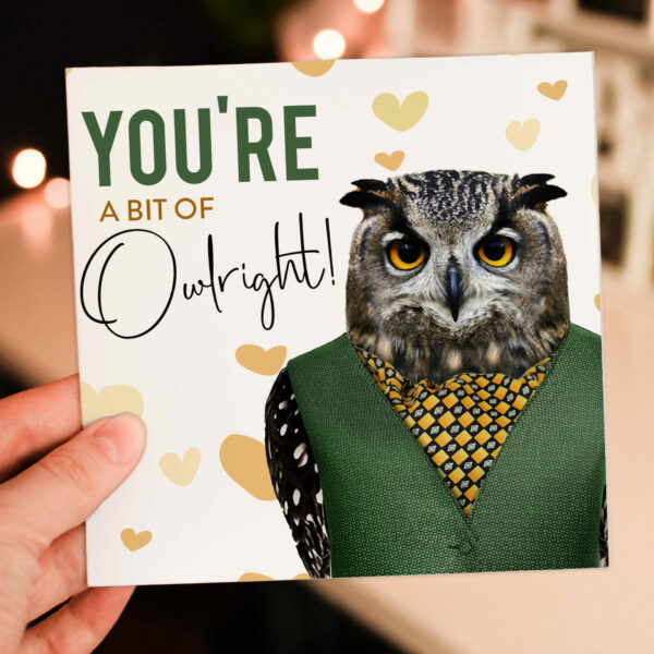 You're a bit of owlright owl in clothes anniversary, Valentine’s Day card for wife, husband, boyfriend, girlfriend (Animalyser) Size A6/A5/A4/Square 6x6"