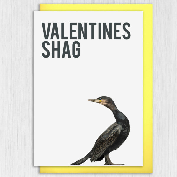 Valentines shag funny, rude, innuendo, bird, birdwatcher Valentine's Day card for wife, husband, partner (Size A6/A5/A4/Square 6x6")