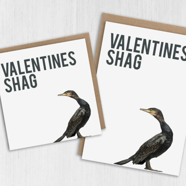 Valentines shag funny, rude, innuendo, bird, birdwatcher Valentine's Day card for wife, husband, partner (Size A6/A5/A4/Square 6x6")