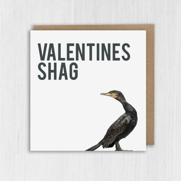 Valentines shag funny, rude, innuendo, bird, birdwatcher Valentine's Day card for wife, husband, partner (Size A6/A5/A4/Square 6x6")