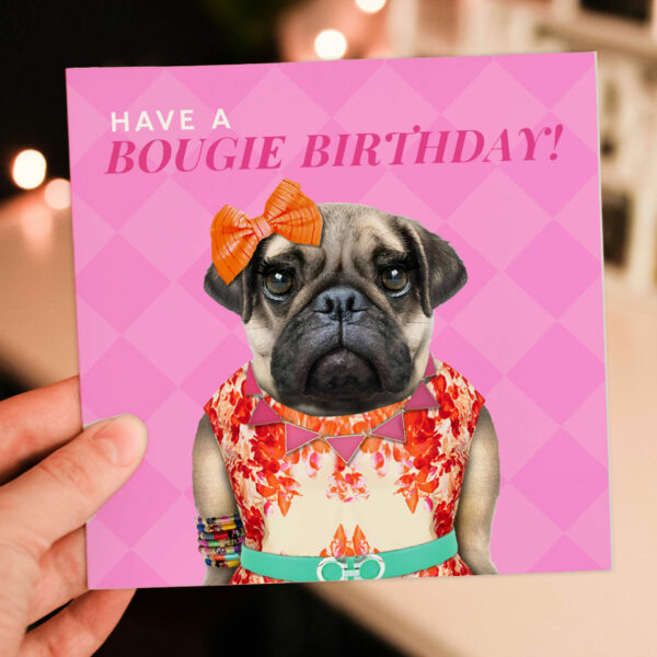 Have a Bougie Birthday pug dog animal in clothes card for female, girlfriend, wife, partner, girl, gal pal (Animalyser) Size A6/A5/A4/Square