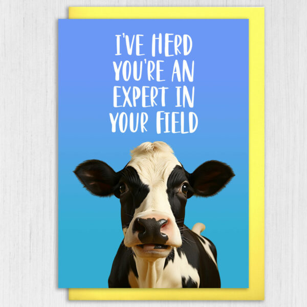 I've herd you're an expert in your field funny cow, farm animal, pun congratulations, graduation, well done card (Size A6/A5/A4/Square 6x6")